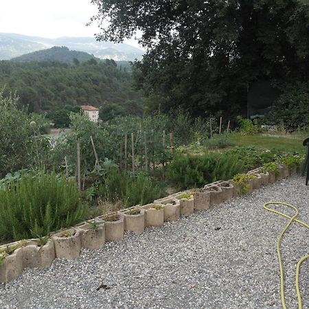 Studio 30 M2 Contes  Bagian luar foto