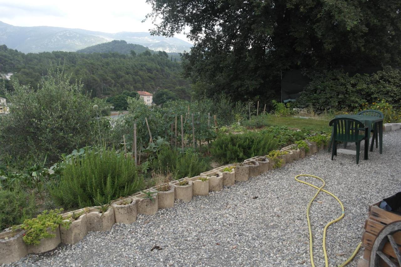 Studio 30 M2 Contes  Bagian luar foto